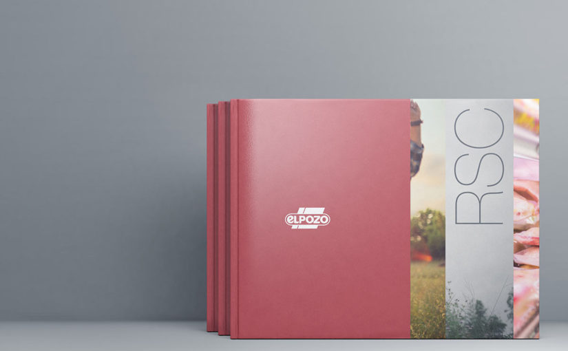 Diseño memoria RSC El Pozo