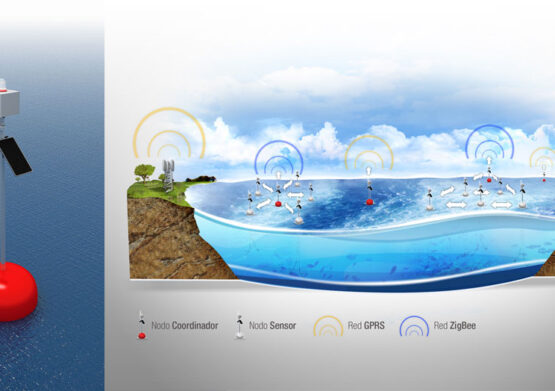 Proyecto CMS - Brande Comunicación 01