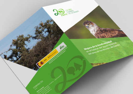 Díptico PEFC acción en Toledo