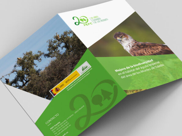 Díptico PEFC acción en Toledo